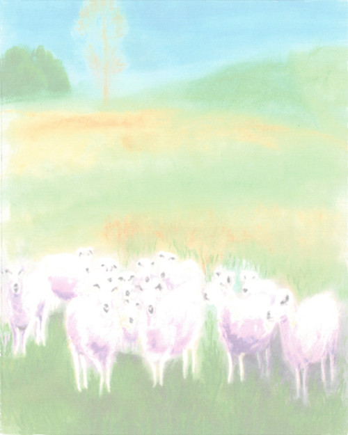 #6 sheep