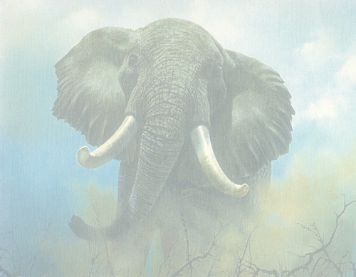 #32 Elephant